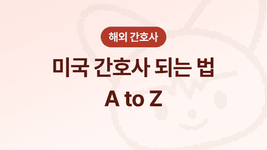 미국 간호사 되는 법 총정리 - 한국 vs 미국 간호대 루트, ABSN, 영주권까지